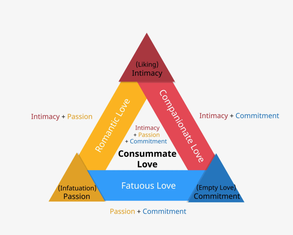 A visual representation of Sternberg's Triangular Theory of Love showing intimacy, passion, and commitment as core components.